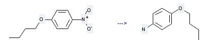 use Benzene,1-butoxy-4-nitro-  to produce 4-butoxy-aniline 